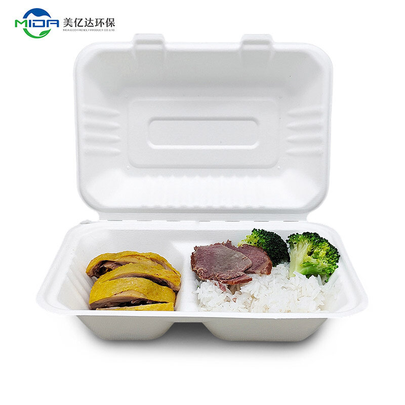 Biodegradable Takeout Food Paper Box Packaging