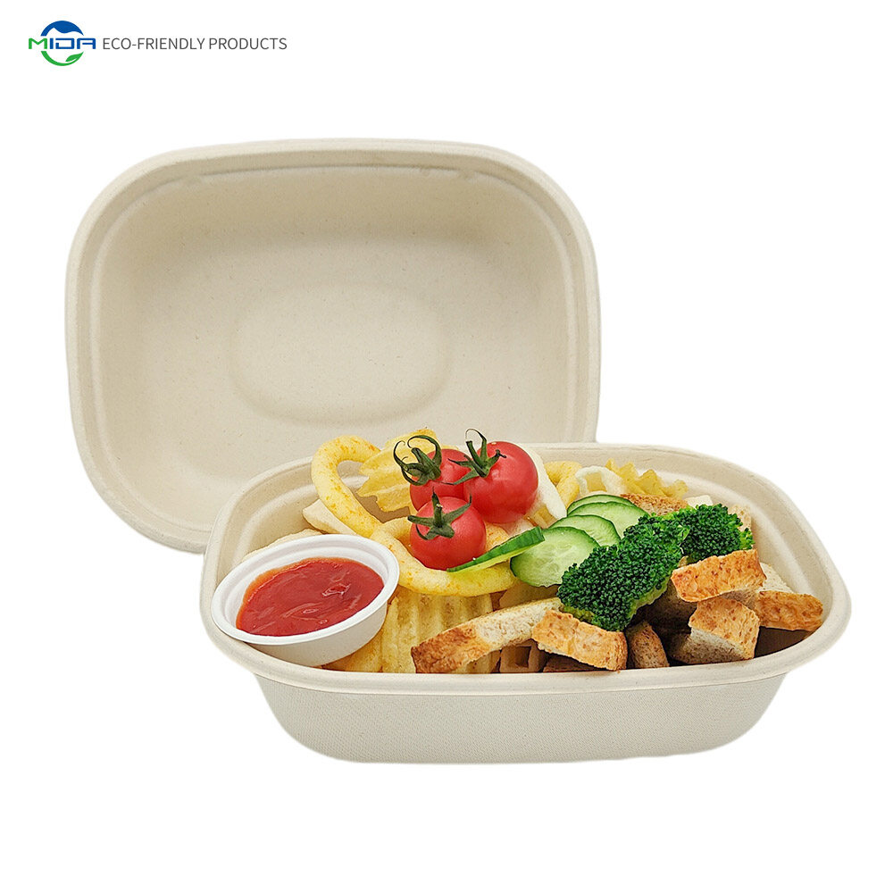 Biodegradable Packaging Food Containers Wholesale Green To Go Food Box with Lid