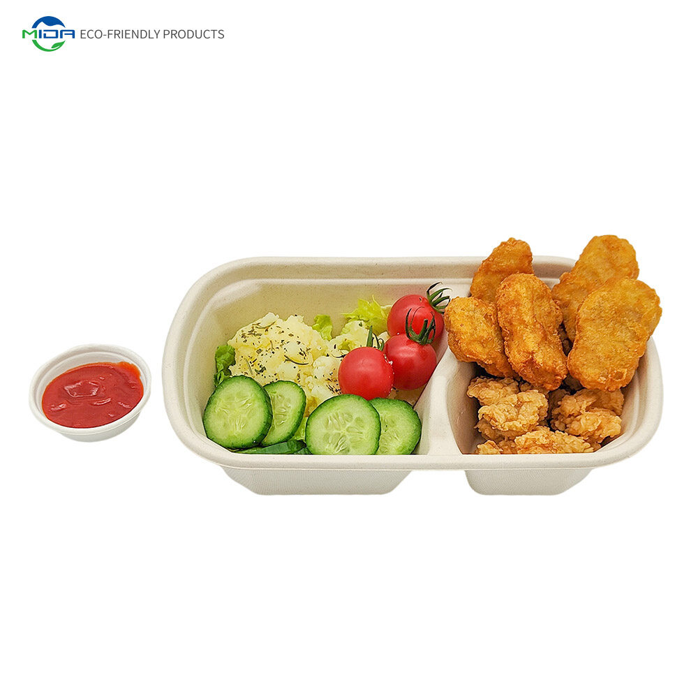Eco Friendly Biodegradable Box Food Takeaway Packaging 2 Compartments Salad Boxes with Lids