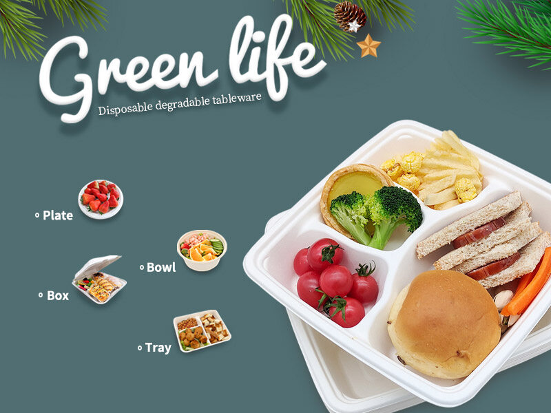 Compostable Paper Lunch Tray Bulk