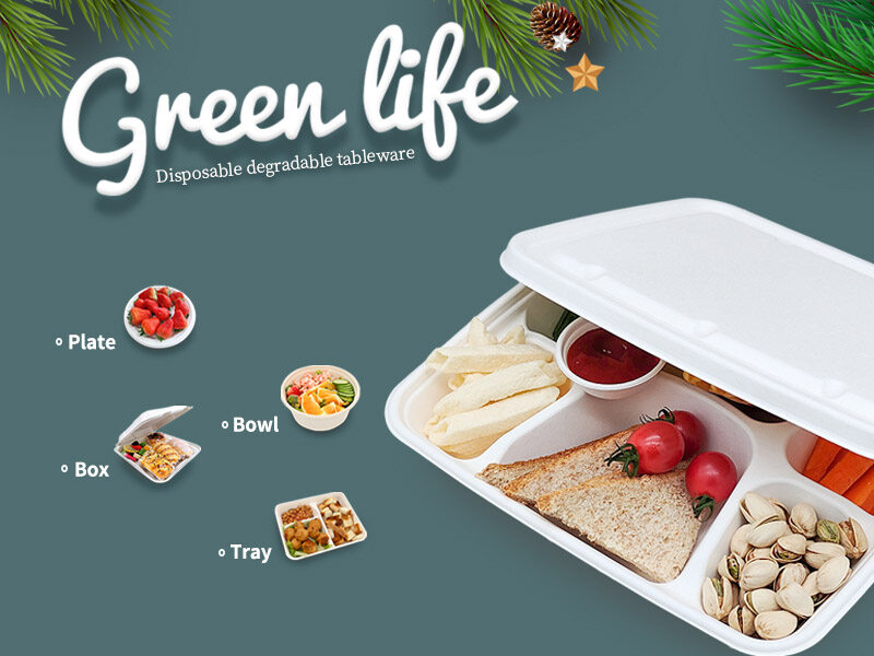 Biodegradable Disposable Food Container Box 2 Compartments Tray for Salad