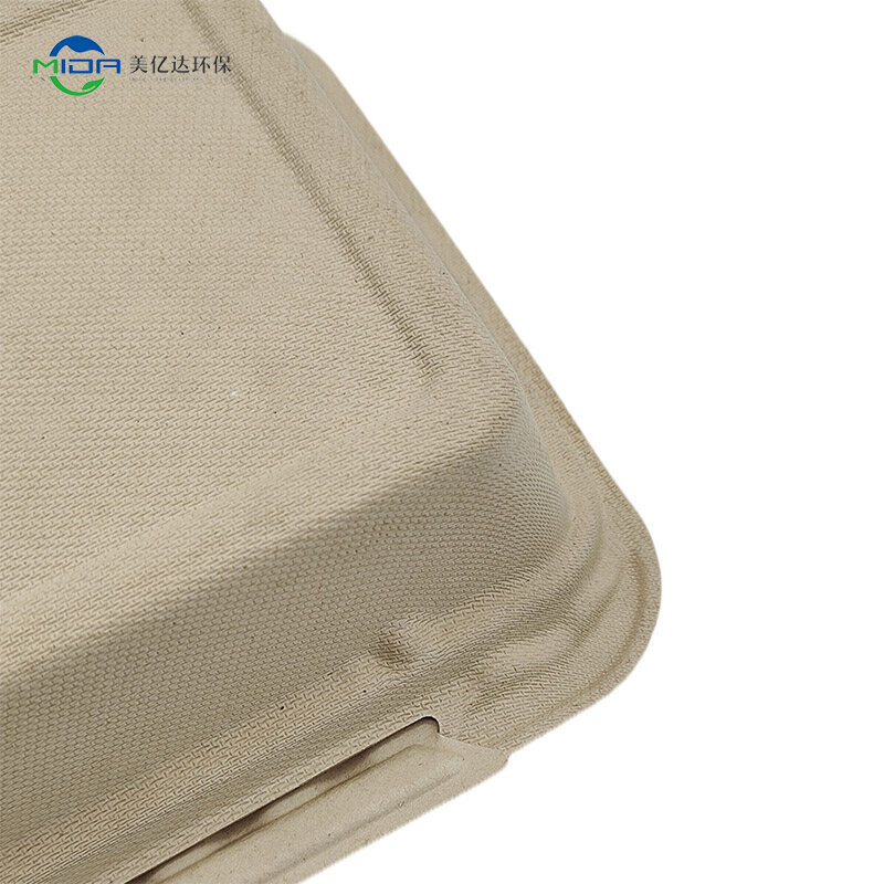 food containers biodegradable lunch box