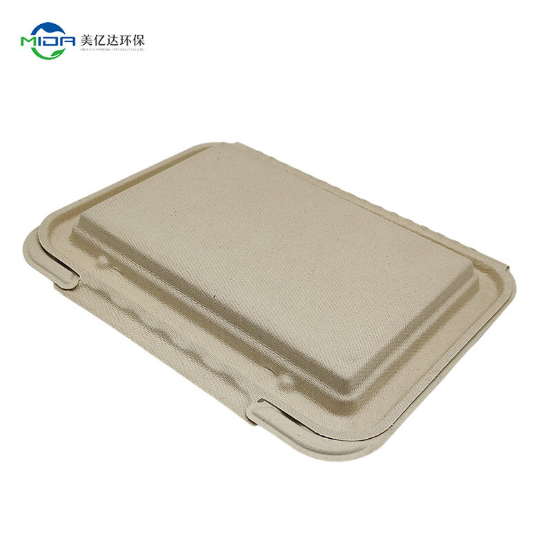 biodegradable meal box
