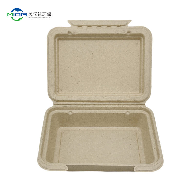 Biodegradable paper lunch box