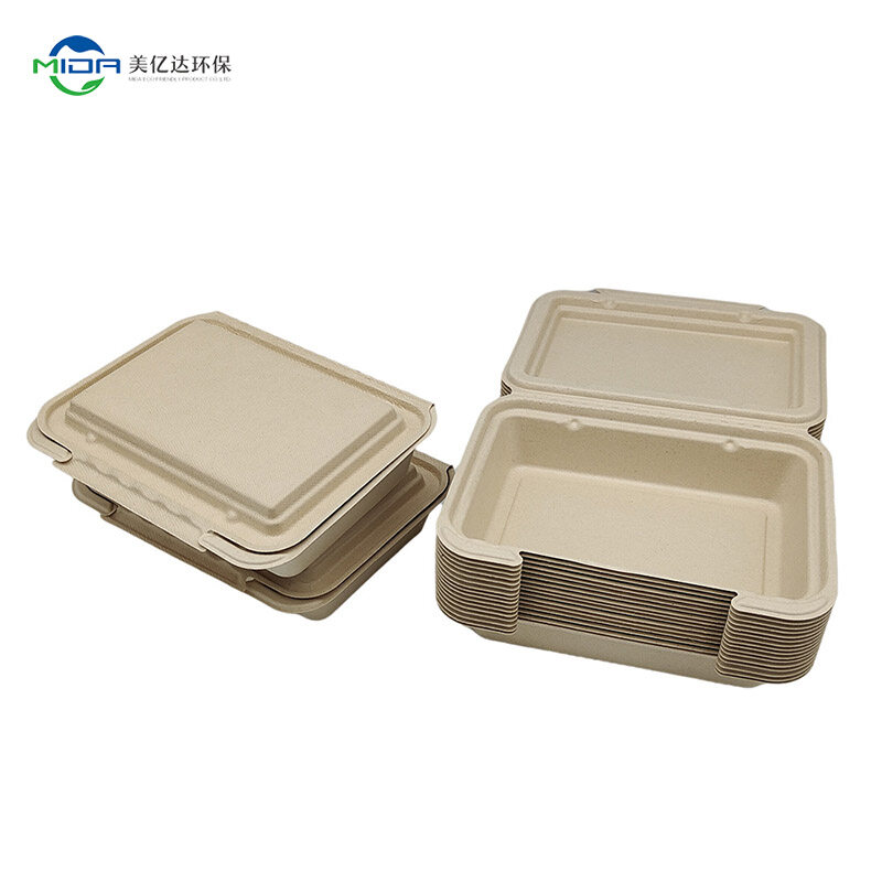 biodegradable boxes for food