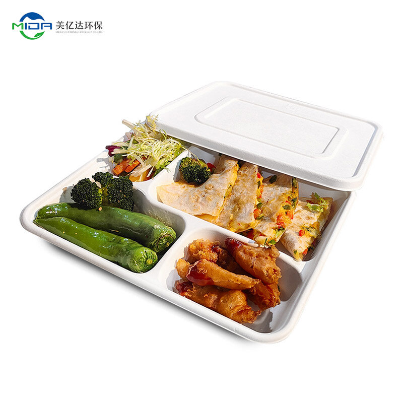 The Rise of Disposable Bento Boxes: Convenience & Sustainability