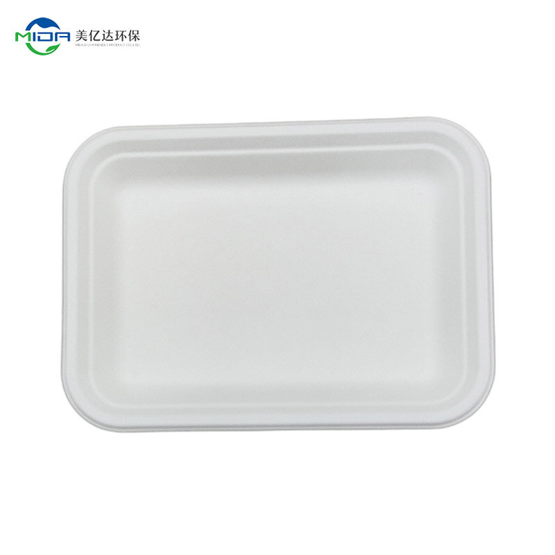 biodegradable sugacane meat plate