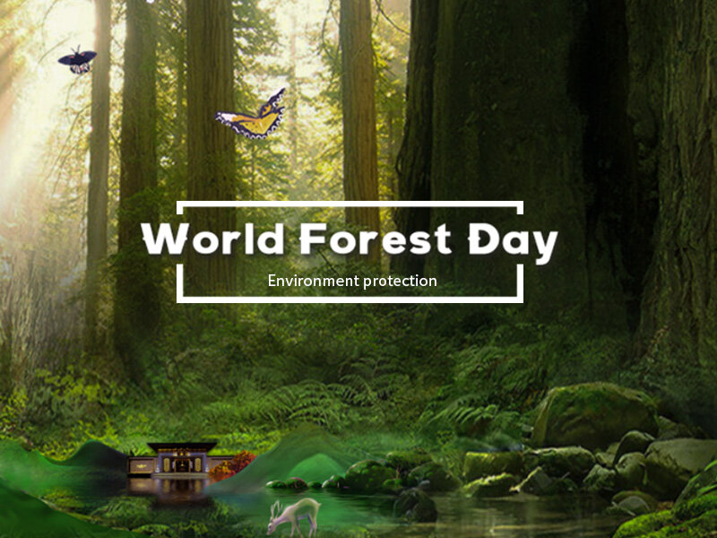 WORLD FOREST DAY