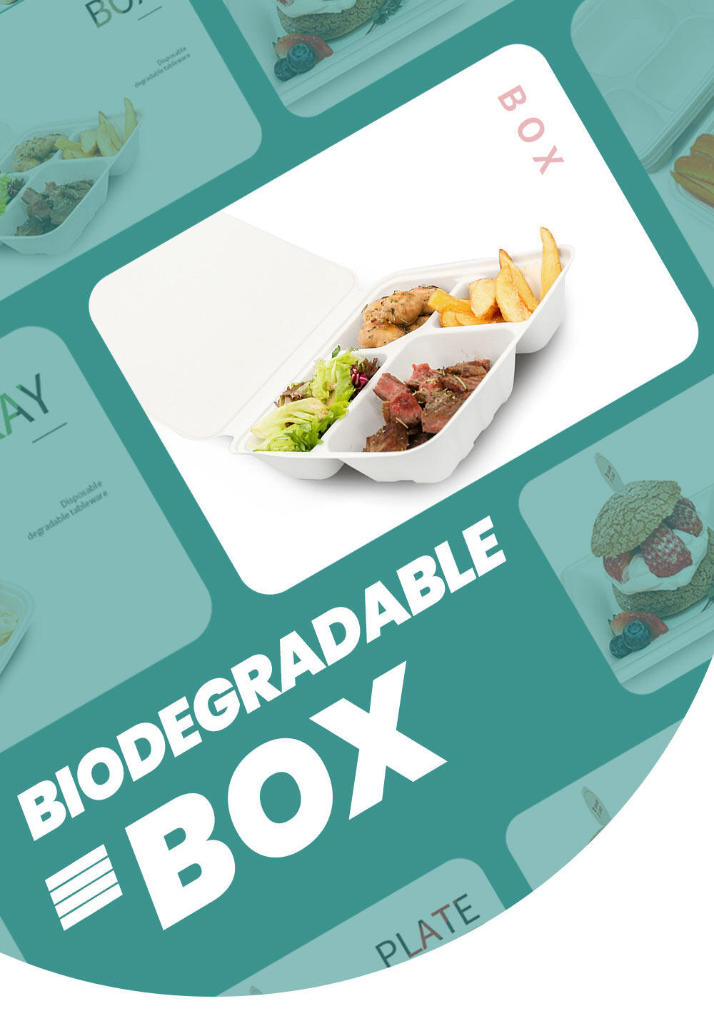 biodegradable sugarcane paper box
