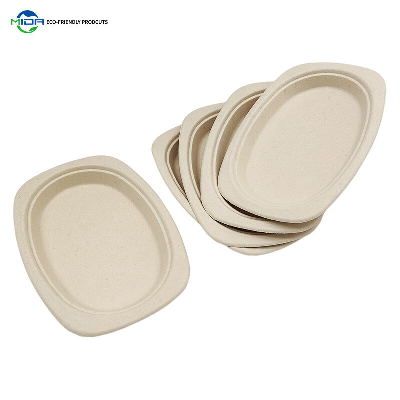 disposable cookie tray with lid