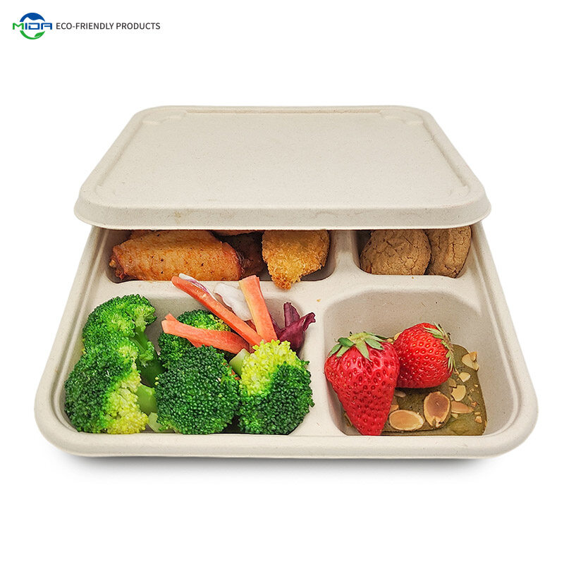 compartment disposable food tray