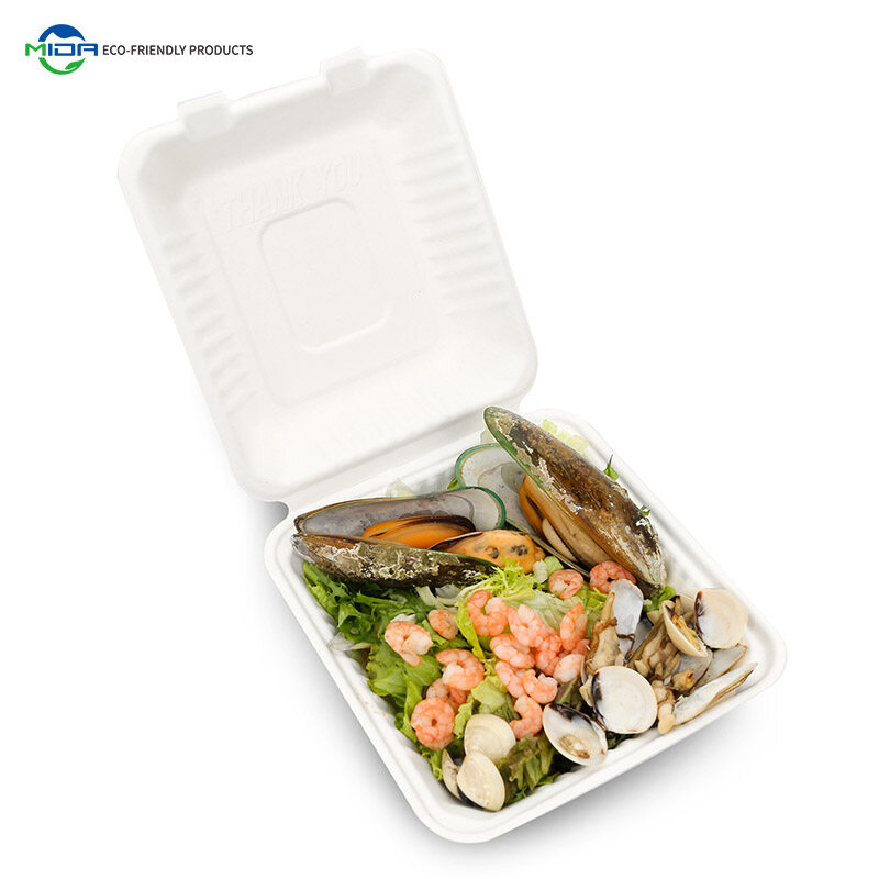 Biodegradable Burger Boxes Eco-Friendly Takeout Container