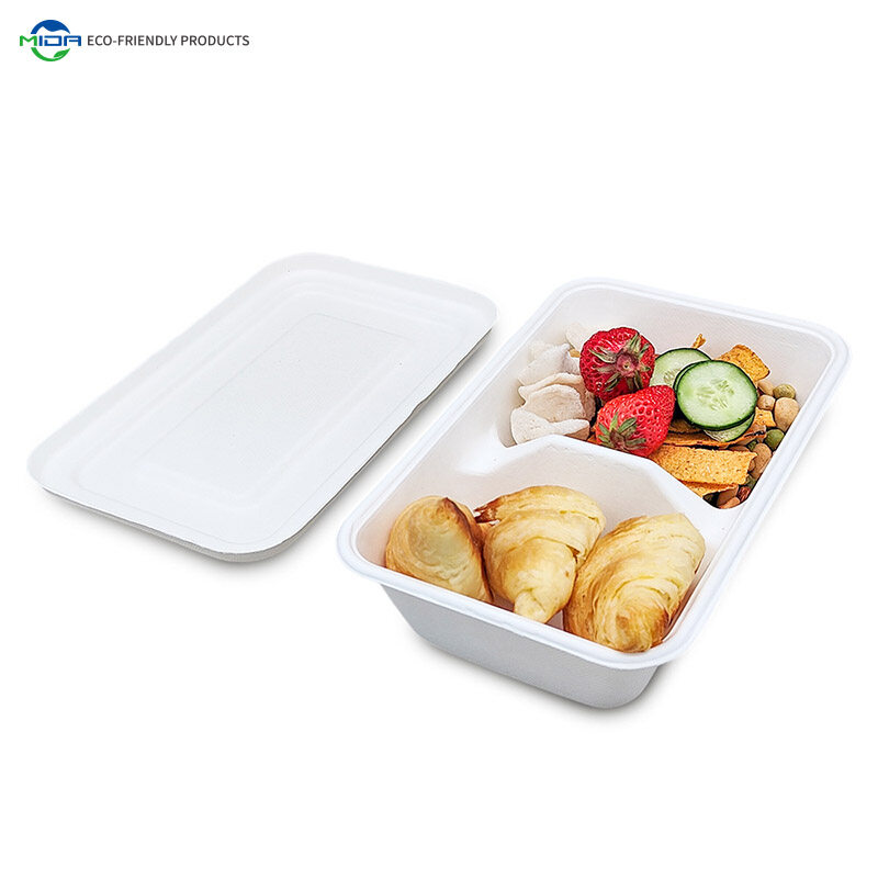 biodegradable boxes for food
