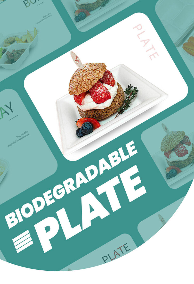 biodegradable rectangle plates