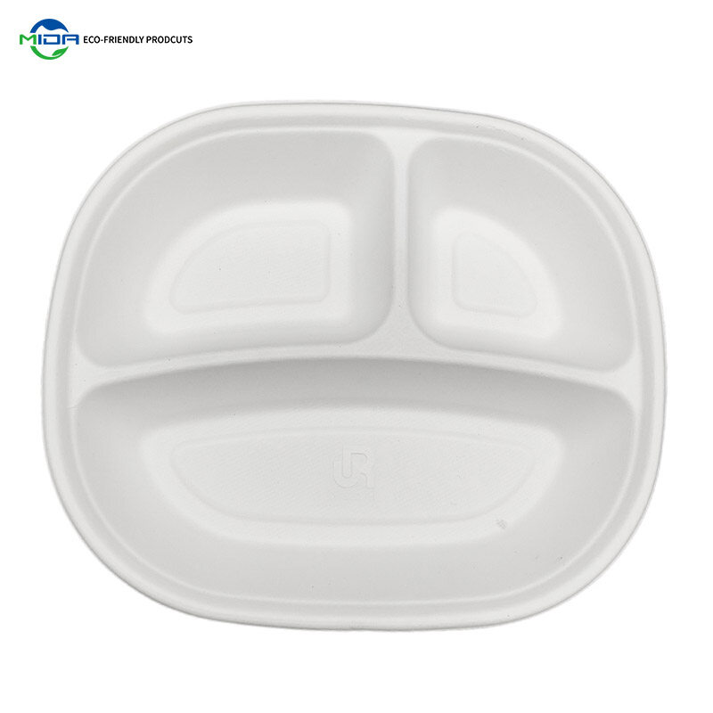 disposable environmentally friendly lunch box