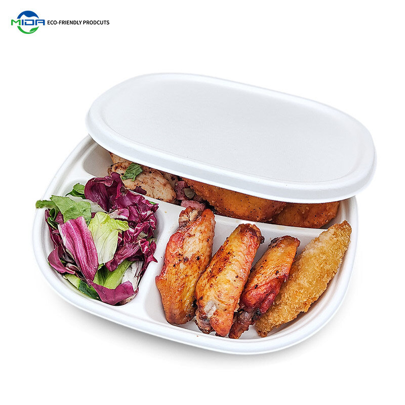 3 Compartment Bento Disposable Lunch Box