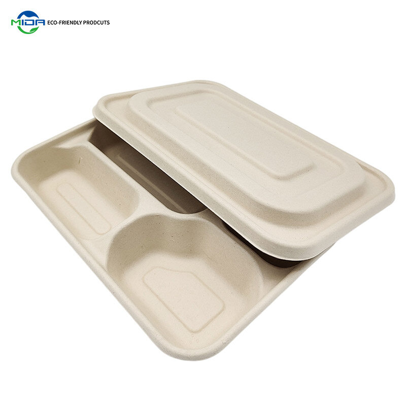 disposable box biodegradable