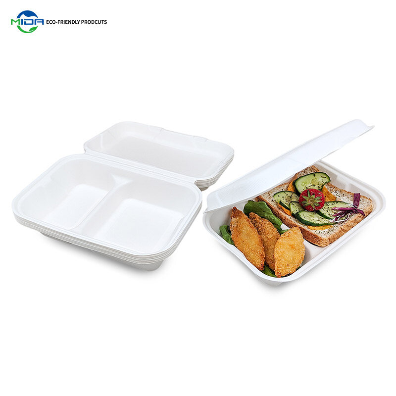Biodegradable Food Container Eco Friendly Lunch Box Food Storage