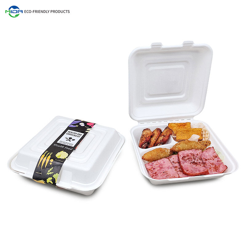 disposable lunch box food