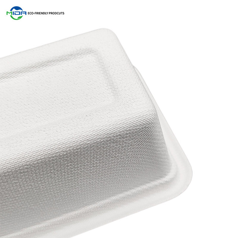 compostable biodegradable box