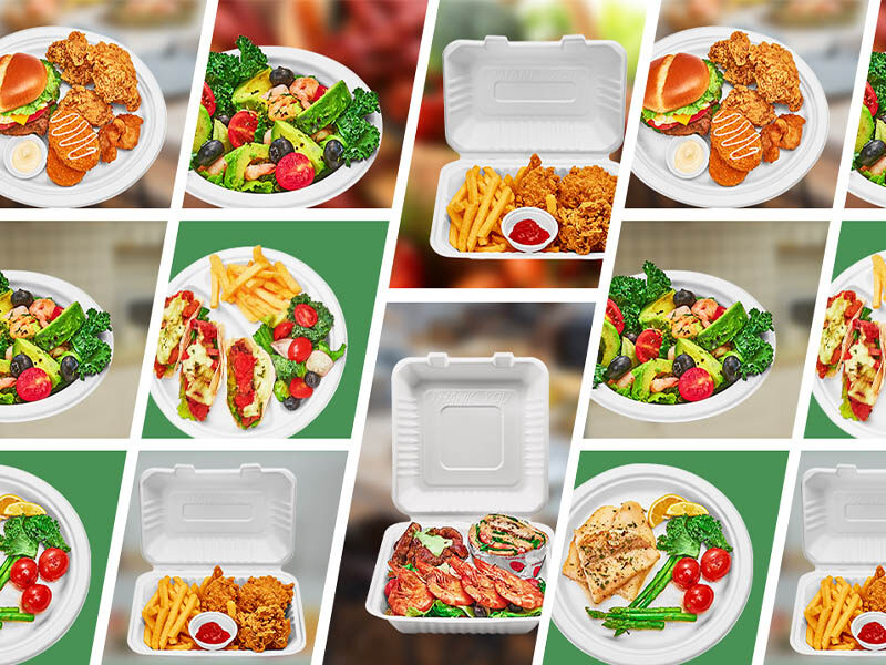 Biodegradable Paper Food Containers
