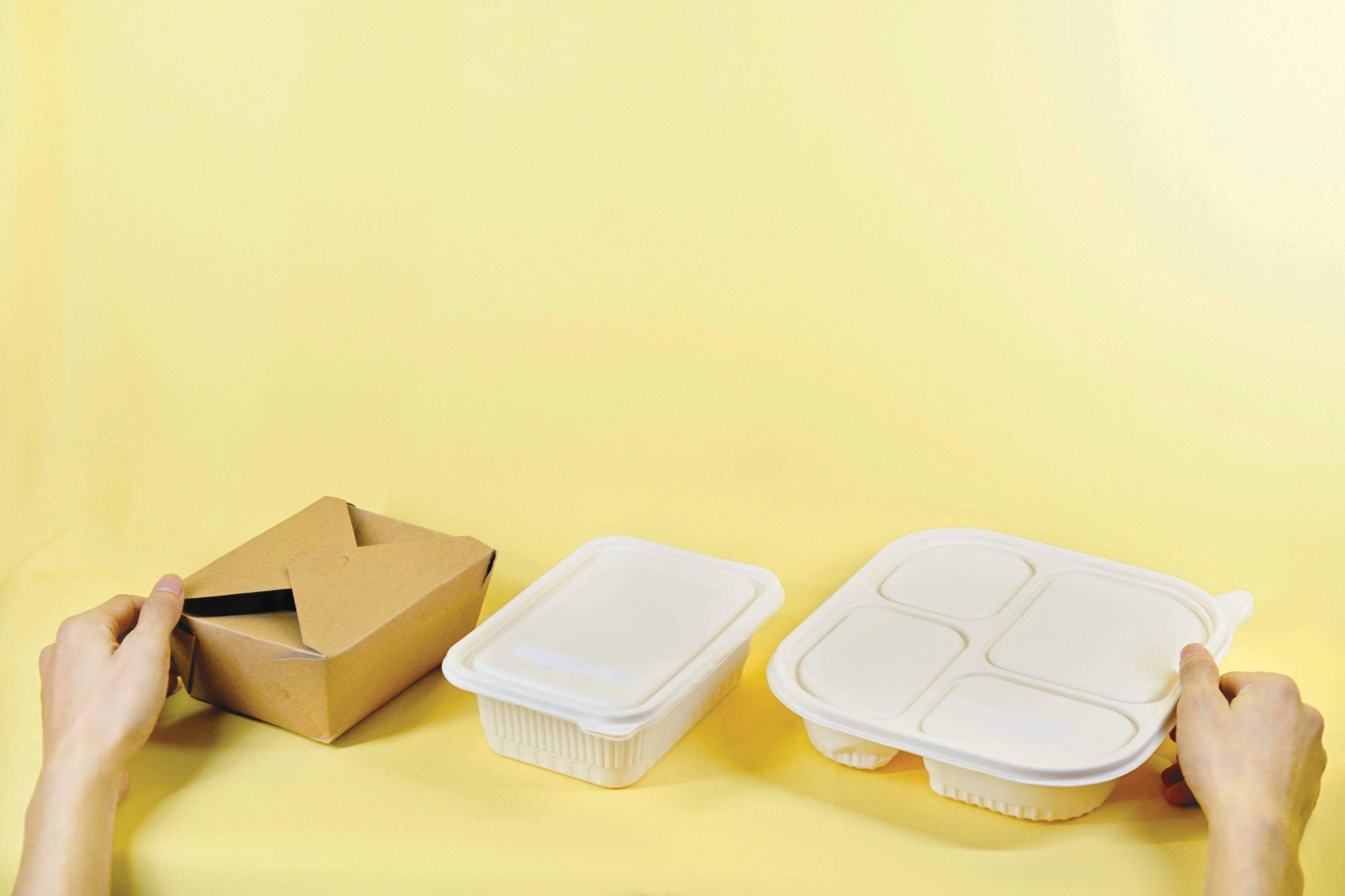 biodegradable takeout food paper box packaging